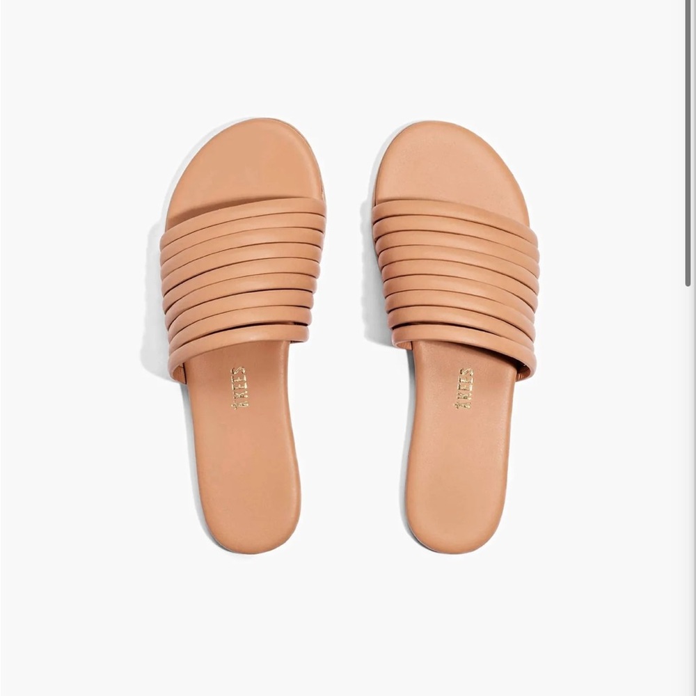 Tkees